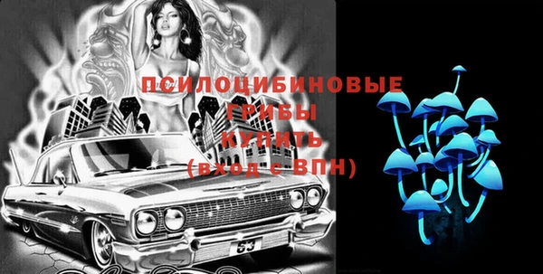 винт Горно-Алтайск