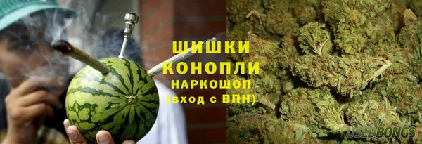 винт Горно-Алтайск